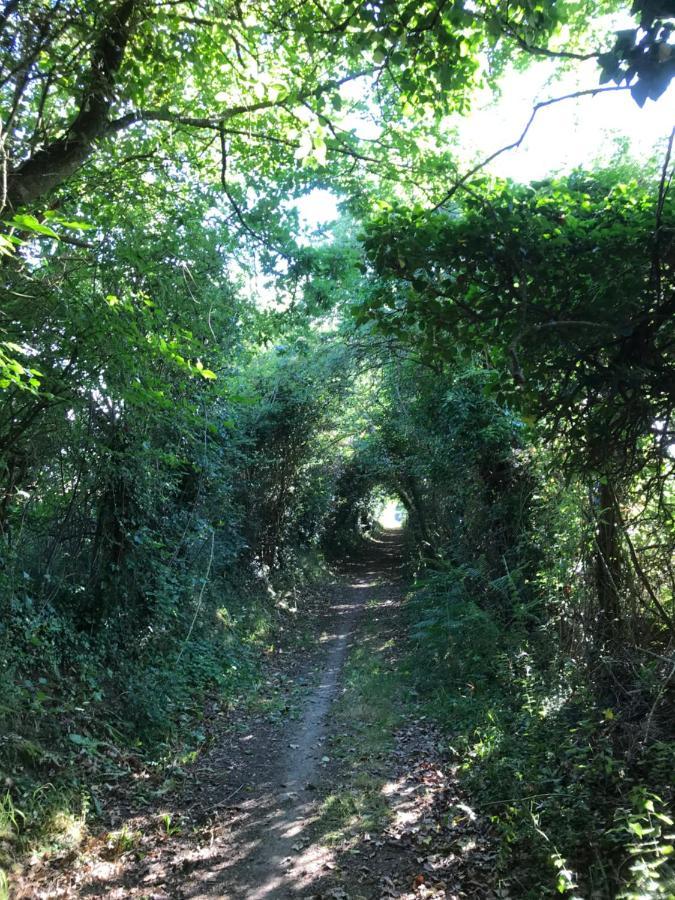 La Paix, Gite Bucolique En Normandie Condé-sur-Noireau Kültér fotó